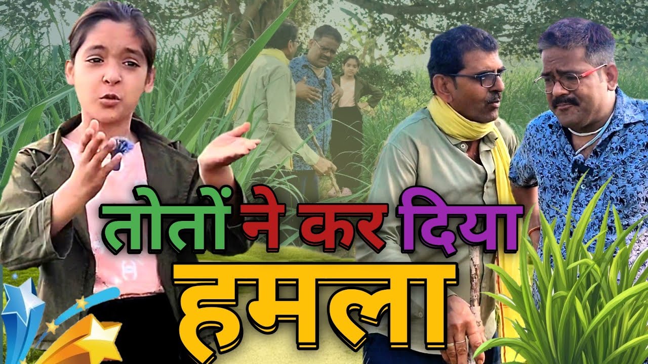 तोतो ने बना लिया प्लान 🦜 चाचा का खेत साफ 😂 || तोतों ने कर दिया हमला || New Comedy Hindi Video