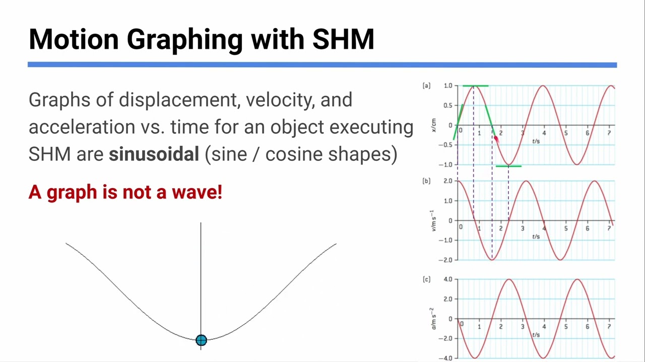 Simple Harmonic Motion - IB Physics