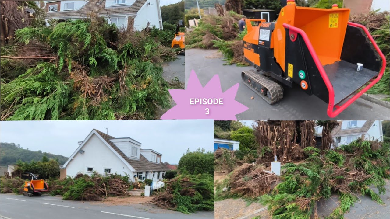 TRACKED CHIPPER FORST TR8 PUT To WORK! 