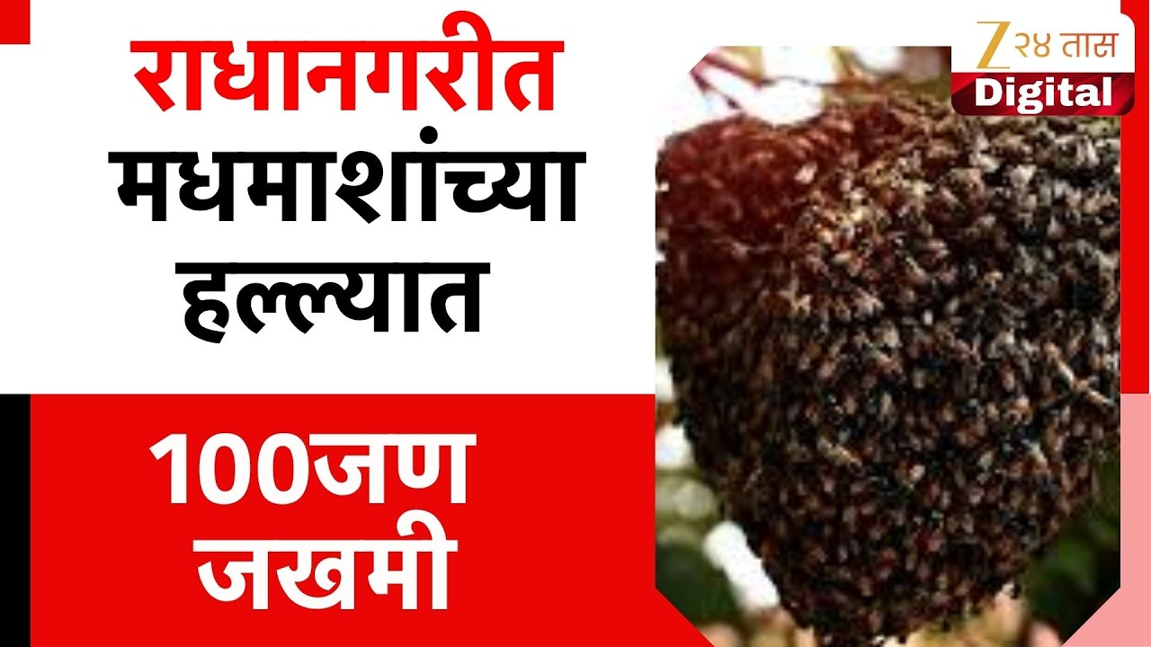 Kolhapur Bees Attack People |  राधानगरीत मधमाशांच्या हल्ल्यात 100जण जखमी; 12 जणांची प्रकृती चिंताजनक