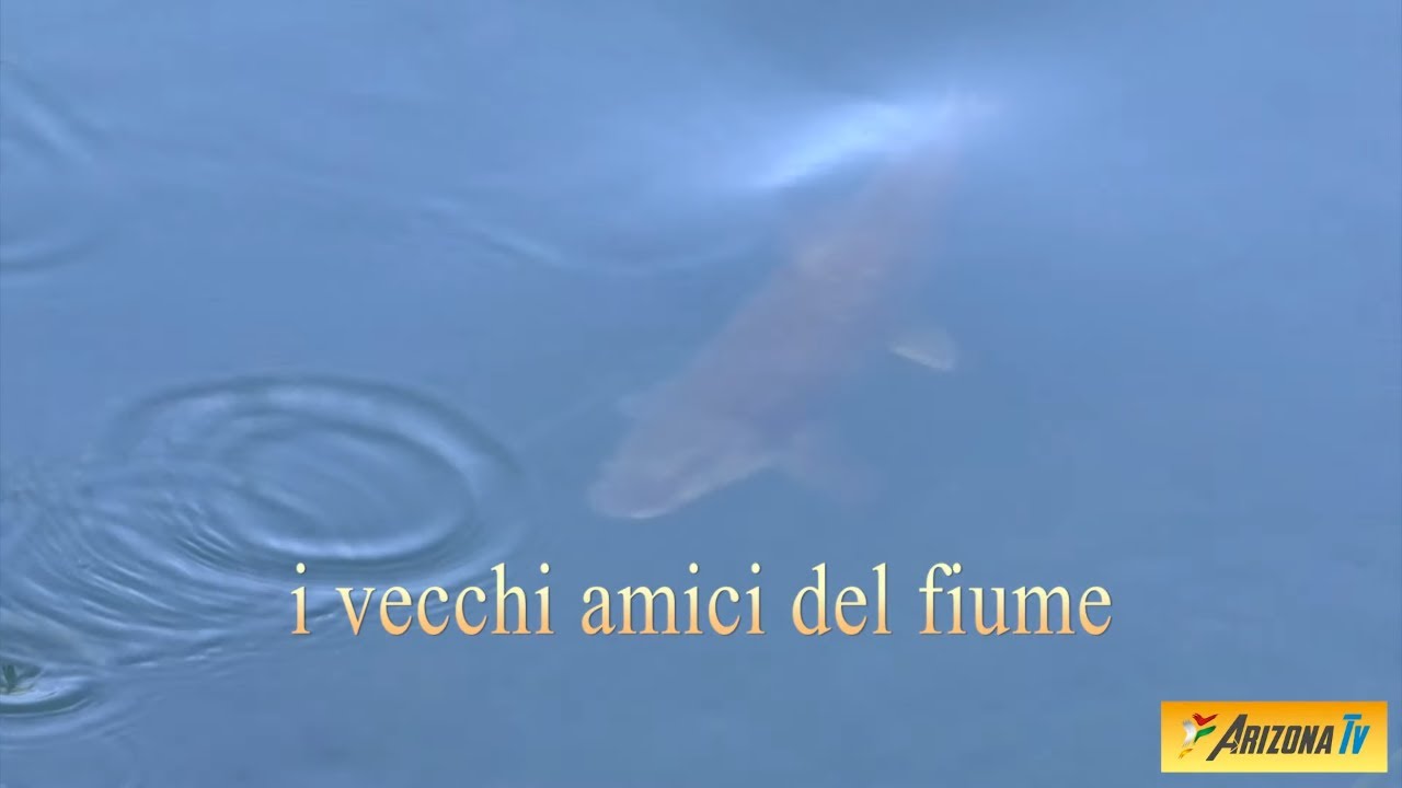 MONDO PESCA - I VECCHI AMICI DEL FIUME .-  TREZZO SULL' ADDA - #pescasportiva #fiumeadda