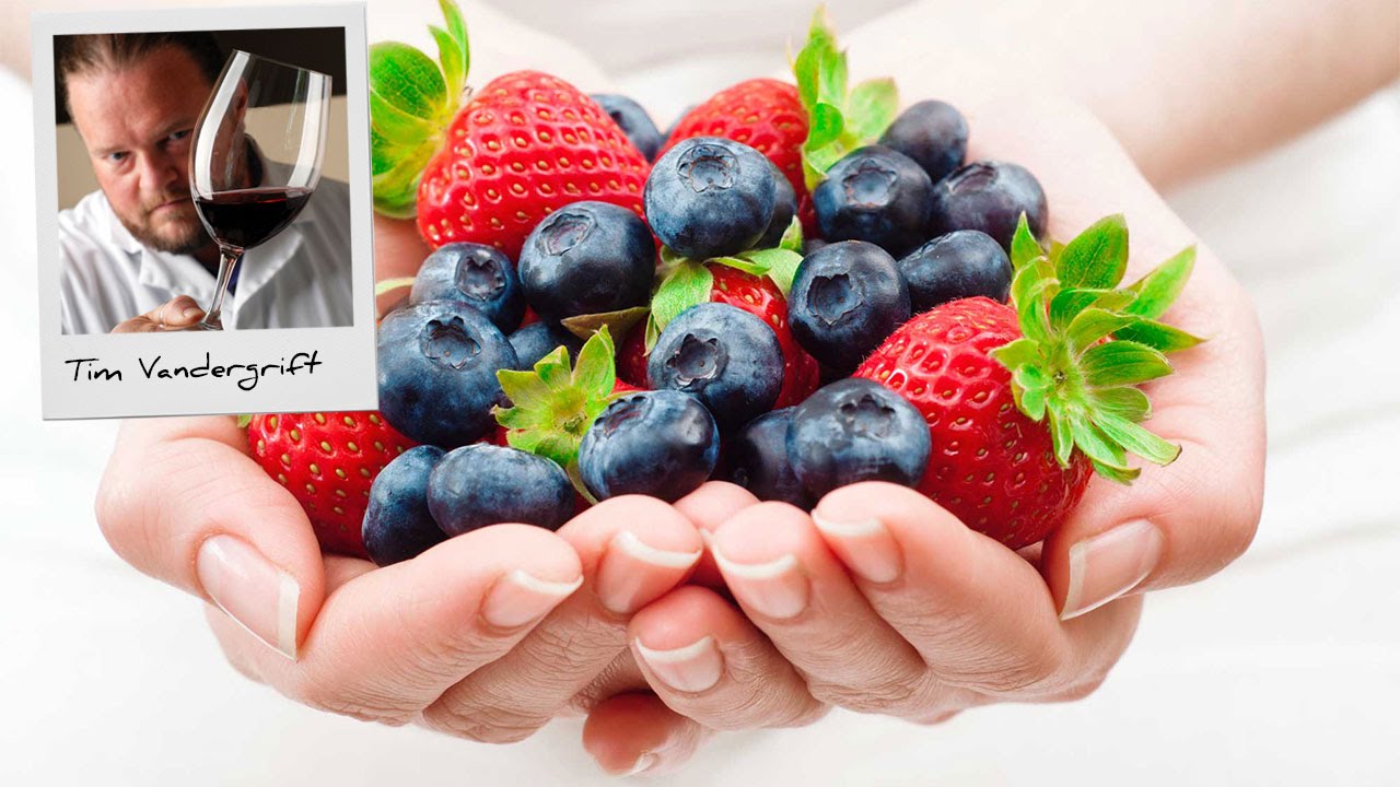 Master Vintner® Fresh Harvest™ Fruit Winemaking Kit