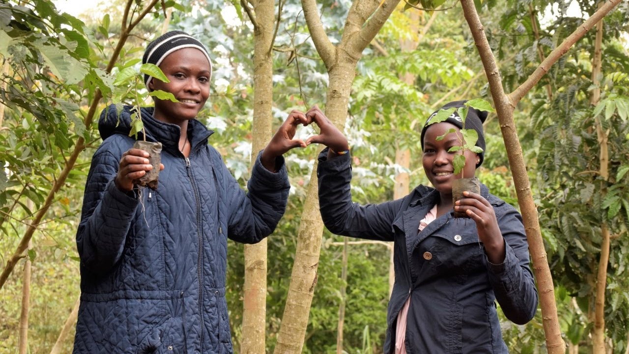 One Heart Forest Impact Tanzania