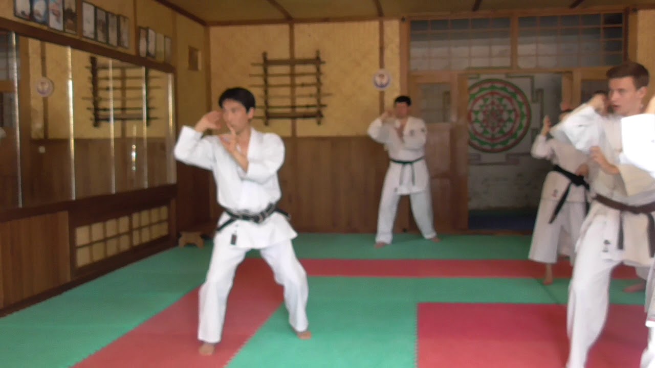 Seminar by Nukina Ukraine 2018 baze of Wado Kihon kumite  // Part 6