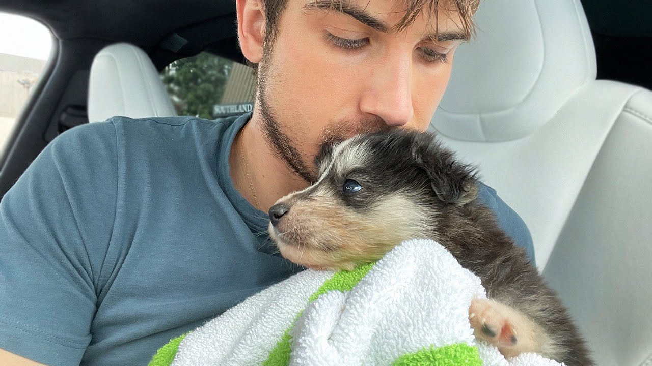 I Had To Take Him To the Vet After A Health Scare