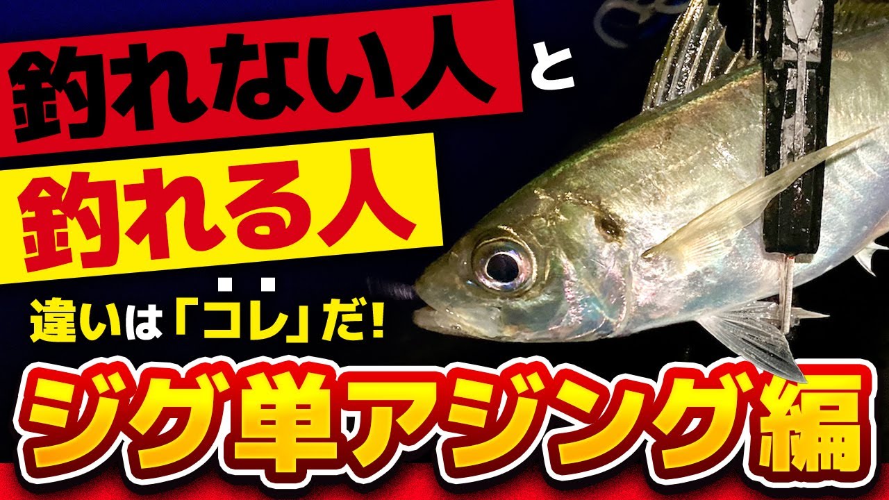 ジグ単アジングで｢釣れる人と釣れない人｣の釣り方の違いがこちら【淡路島】