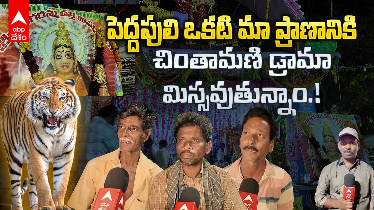 Tiger Fear Dramas at Jathara | సింగారమ్మ జాతరలో డ్రామాలు చూడాలన్నా పెద్దపులి భయపెడుతోంది | ABP Desam