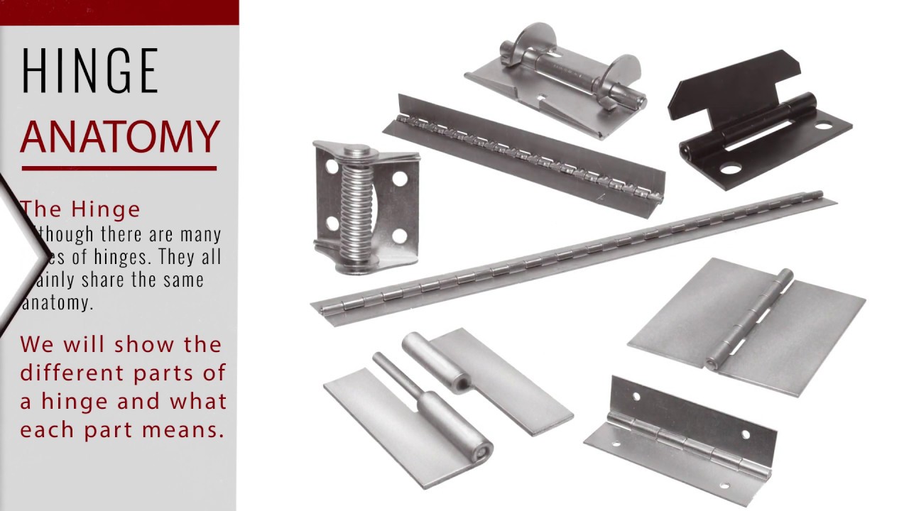Parts Of A Hinge - Everything you need to know about hinge anatomy