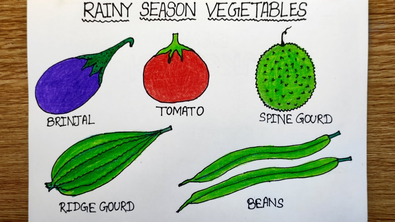 Rainy season vegetables drawing | Easy vegetables drawing | Vegetables drawing step by step |