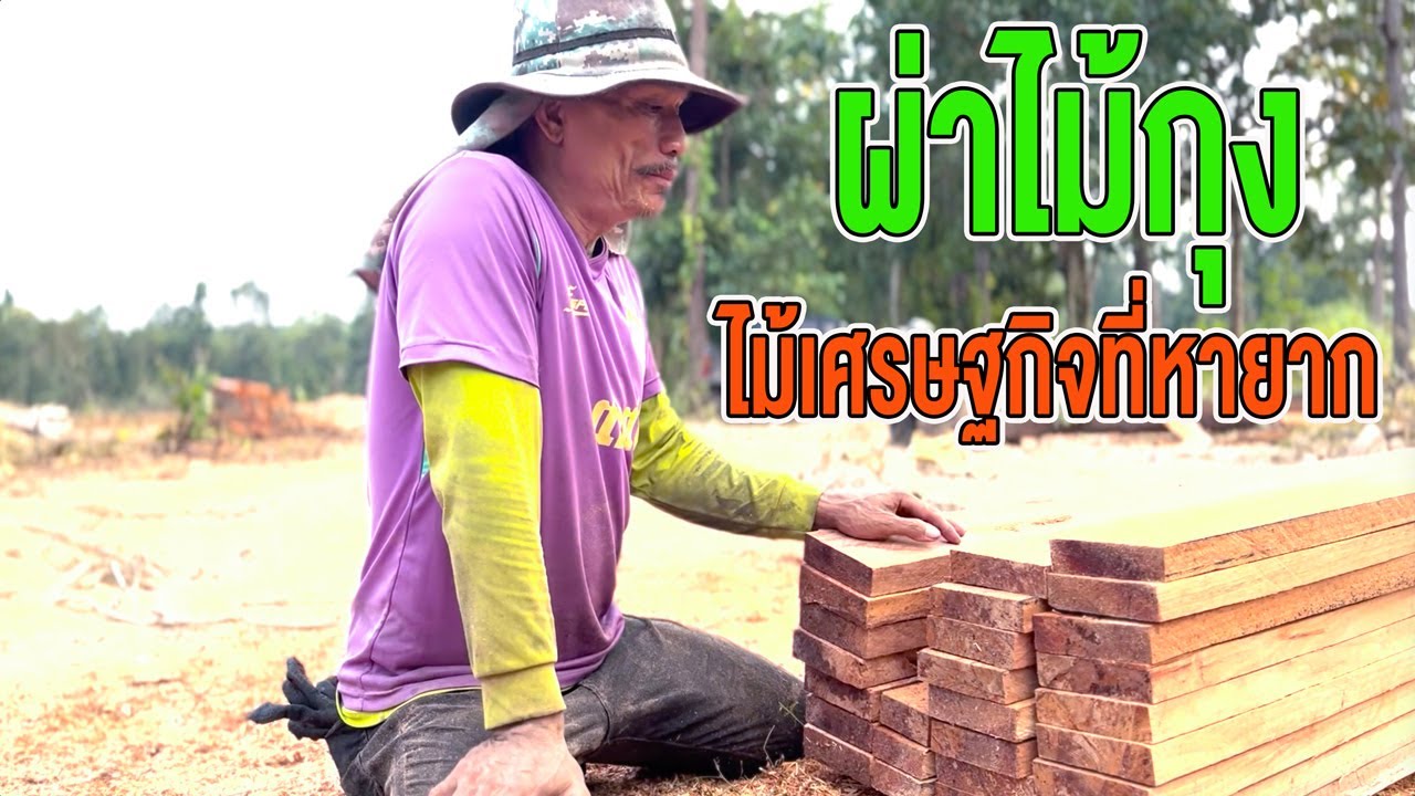 ผ่าไม้กุง ไม้เศรษฐกิจที่หายาก