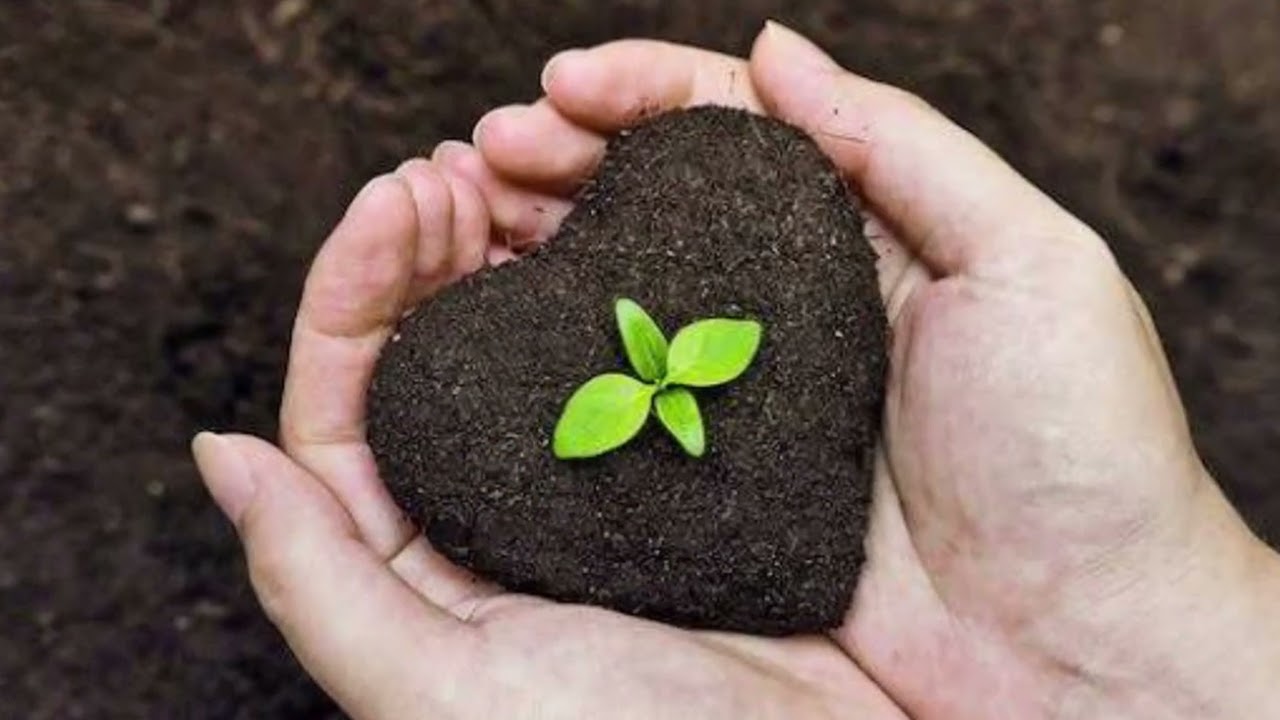 விதை...(இன்றைய நற்செய்தி பாடலாக)#trending #song #music 