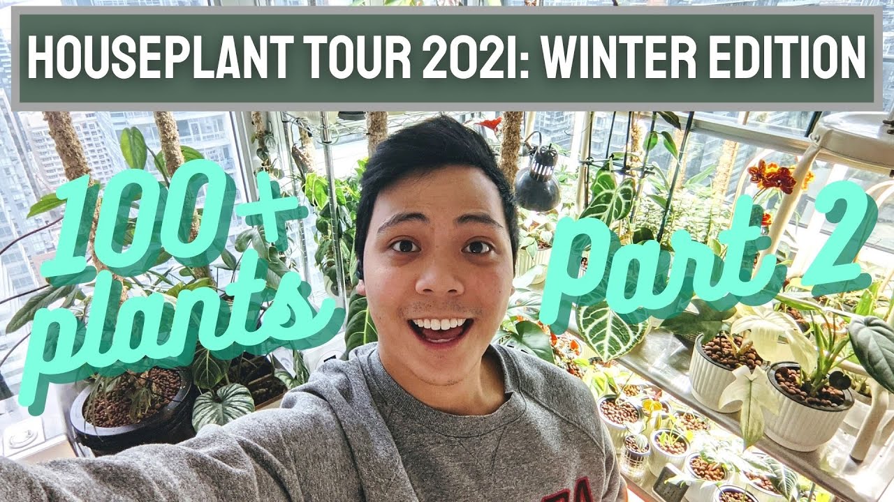 Houseplant Tour 2021: Winter Edition (PART 2) - 100+ PLANTS IN MY BEDROOM (LECA & Semi Hydroponics)