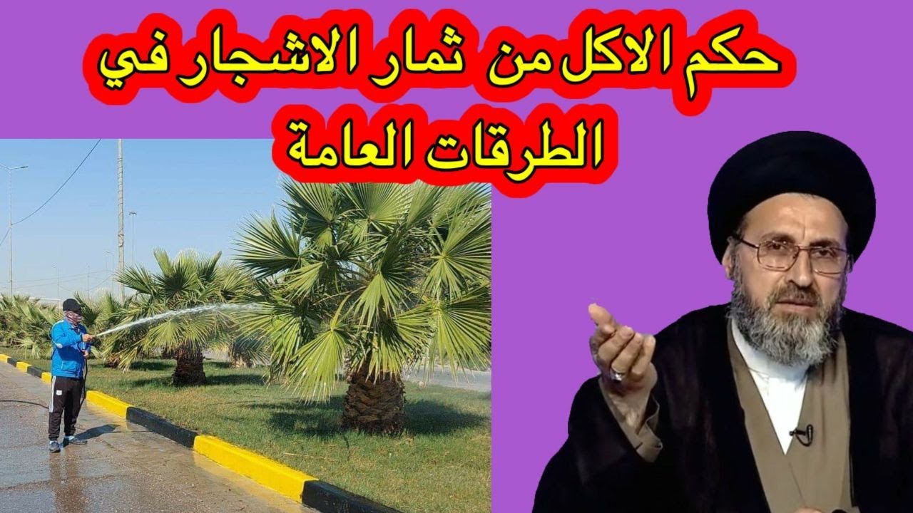 متصل هل يجوز الاكل من ثمار الشجر الموجود في الجزرات الوسطية/ السيد رشيد الحسيني#قناة_الفقه_والمسائل