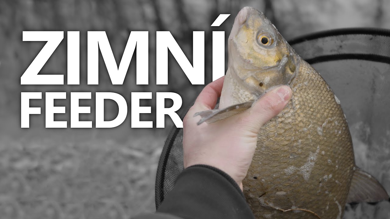 Zimní feeder na řece a KRÁSNÝ CEJN na start sezóny! | FEEDER #2