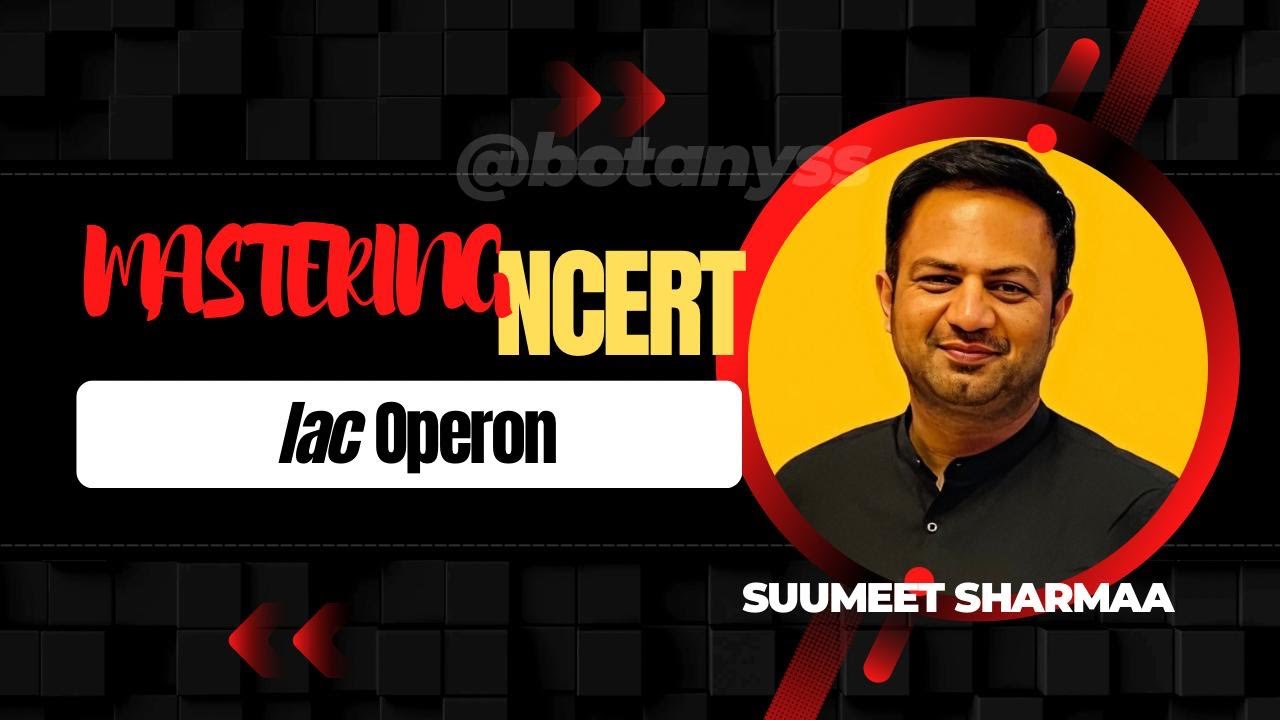 Lac Operon 