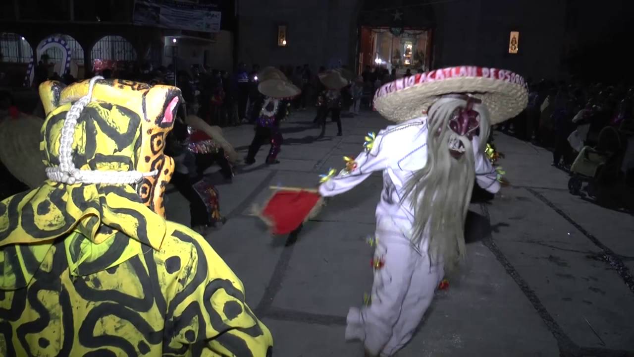 TECUANES EN ATENCO 2015