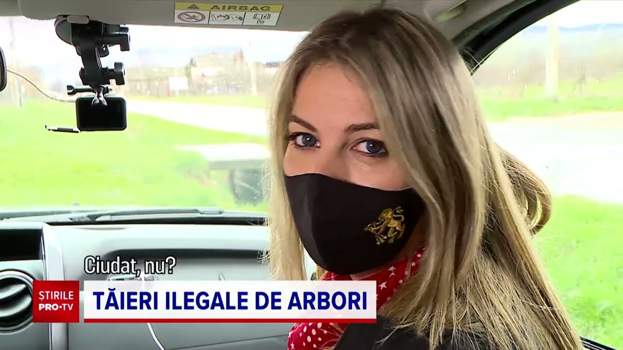 Tăieri ilegale de arbori