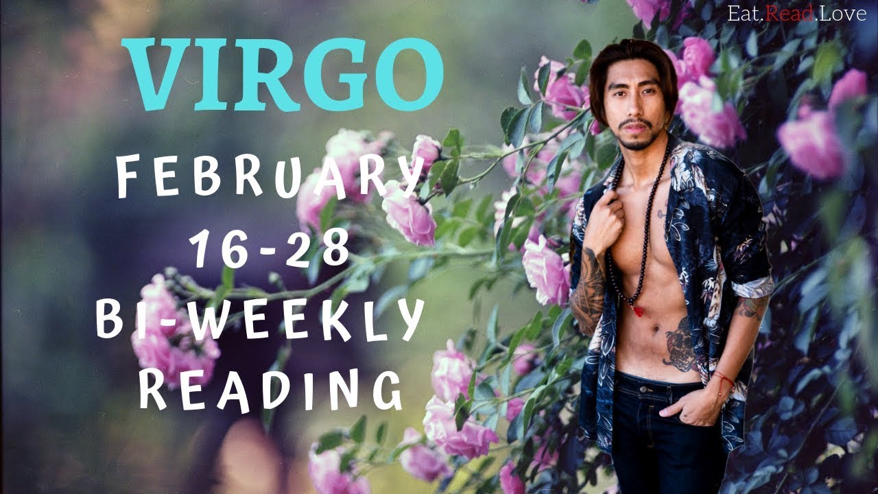 VIRGO SOULMATE 