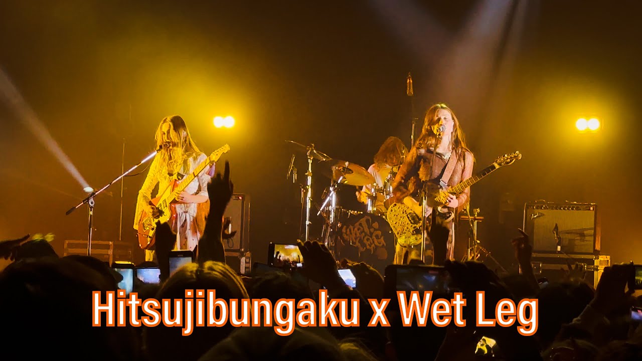 Chaise Longue at Mayoiga (Hitsujibungaku x Wet Leg mashup)