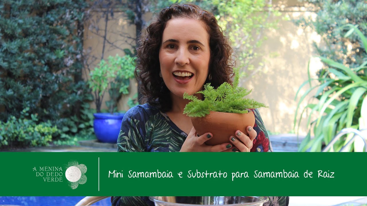Nô Figueiredo Ensina a Cultivar Mini Samambaia e a Fazer Substrato para Samambaia de Raiz