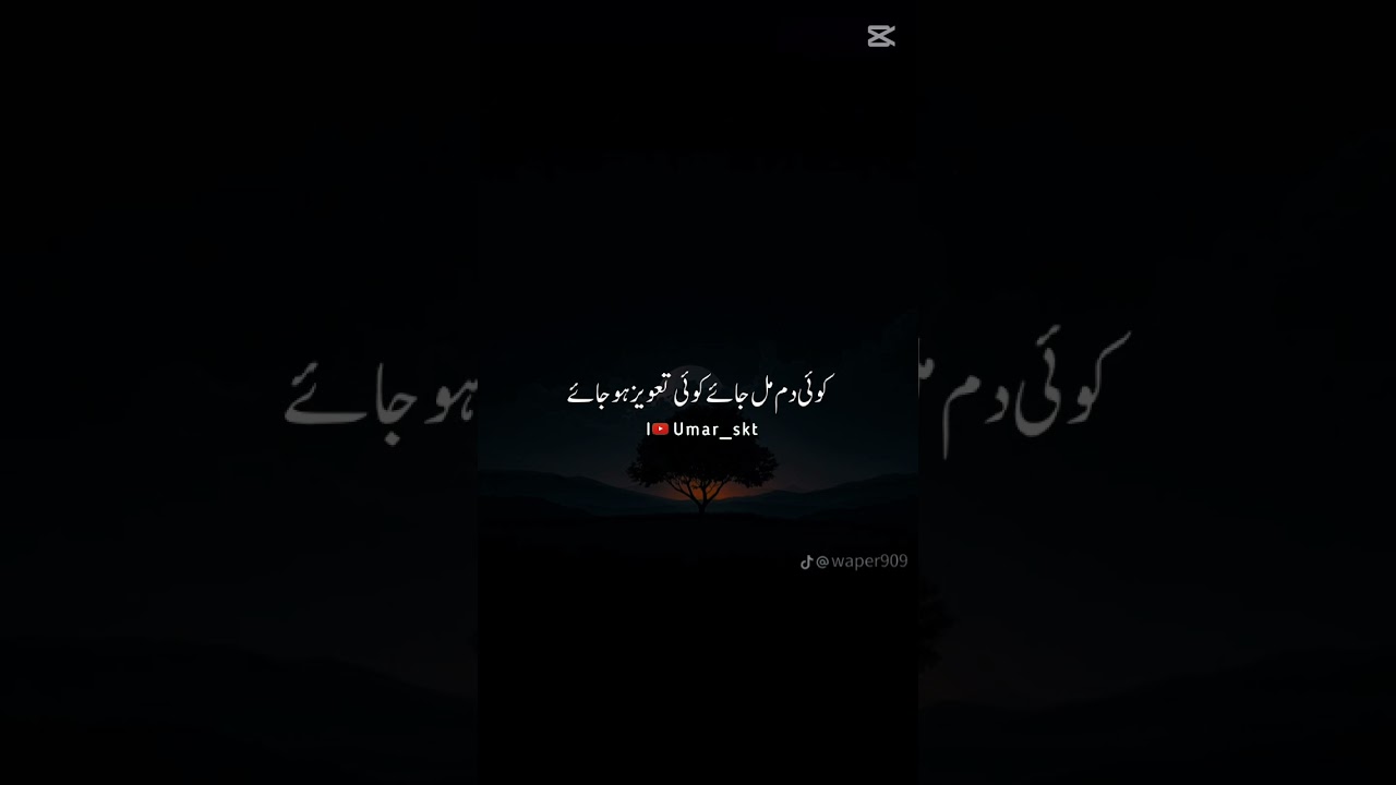 Islamic video connent 