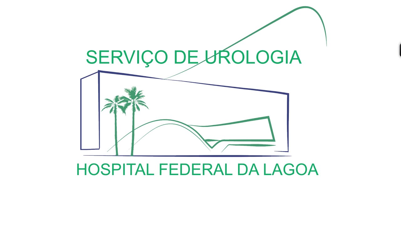 HFL-Artigo-13_01_26-One-Year Water VaporThermal Therapy for BPH-Gabriel Andrade Diniz (R1)