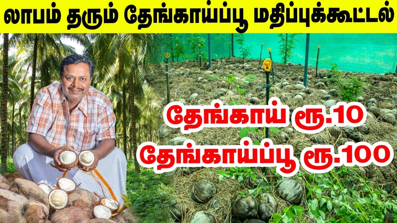 எந்தப் பிரச்னையும் இல்லாத மதிப்புக்கூட்டல் - தேங்காப்பூ உற்பத்தில் கலக்கும் விவசாயி | Coconut Flower