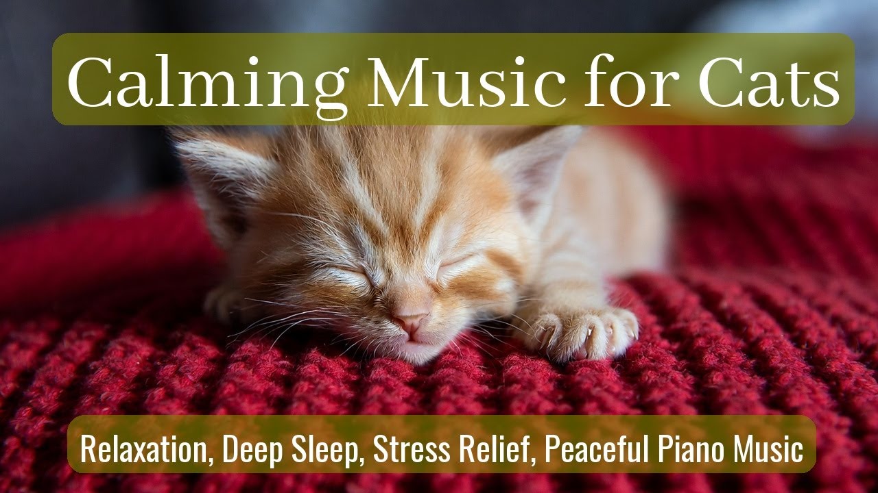 Calming Music for Cats - Relaxation, Deep Sleep, Stress Relief, Peaceful Piano Music | Season 56