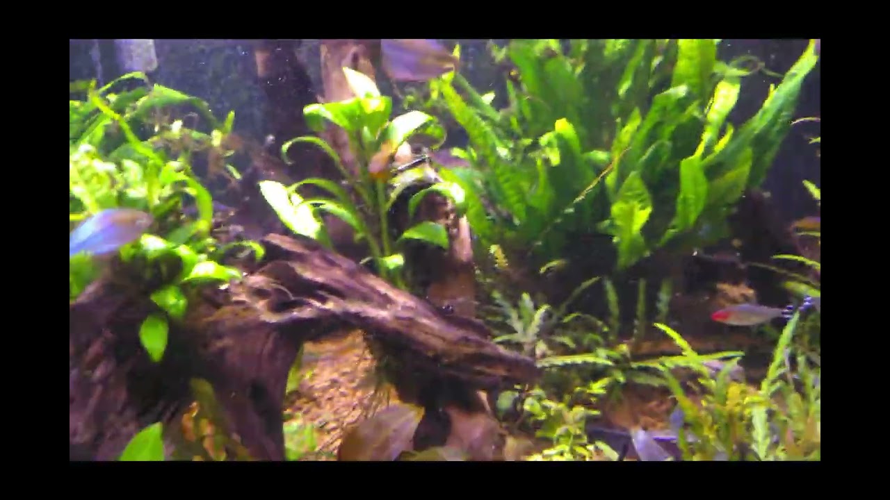 aquarium 08/12/25
