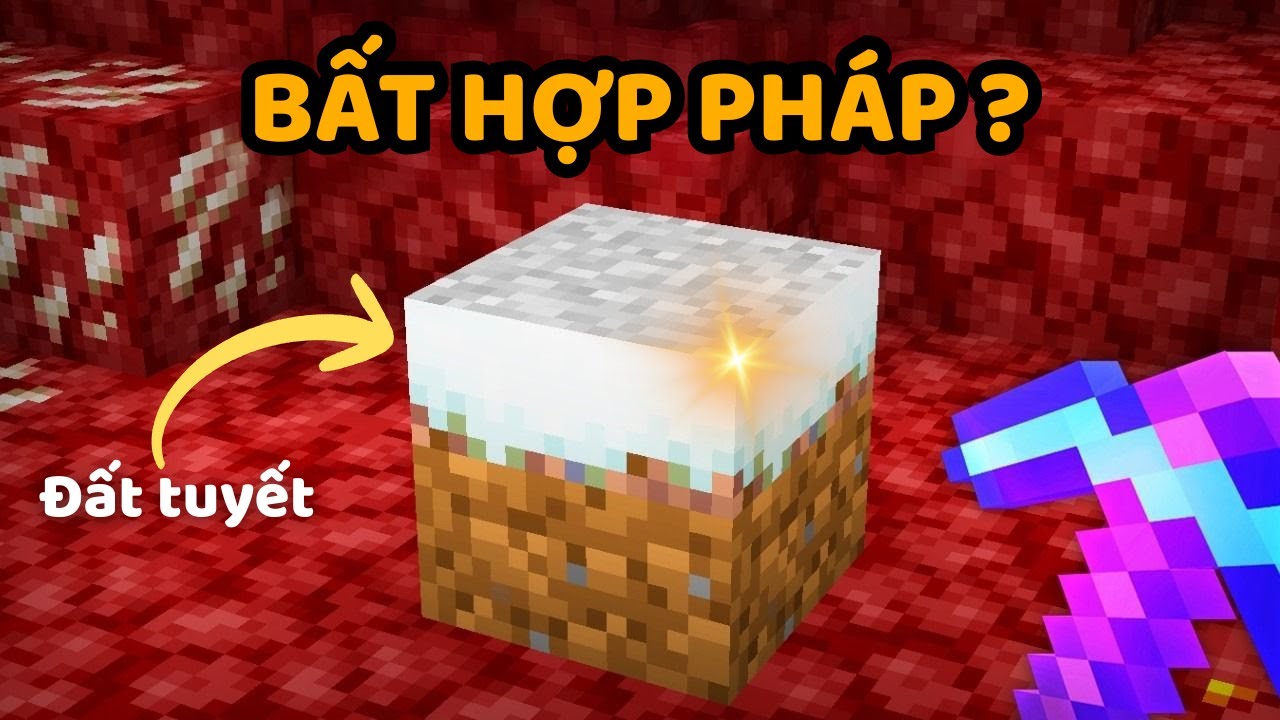 Tôi Đã Thu Thập Mọi Vật Phẩm BẤT HỢP PHÁP Trong Minecraft Hardcore