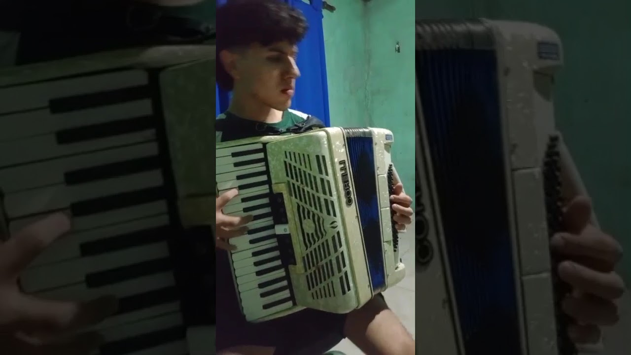 Tocando Los Saltos Del Guayrá de Raúl Barboza ❤️😃