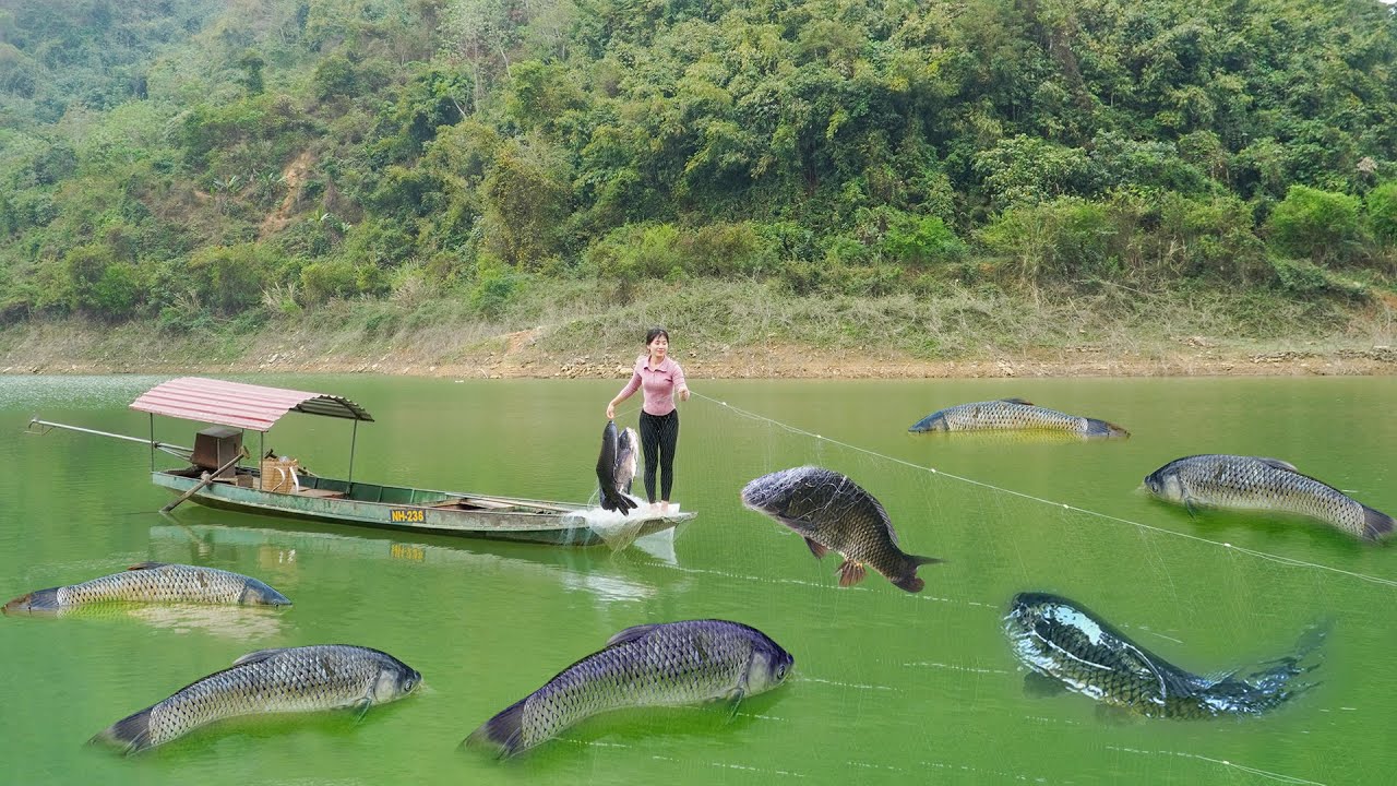 Release Net Traps on Large Lake Catch A Lot Of Fishs Go To Market Sell / My Bushcraft