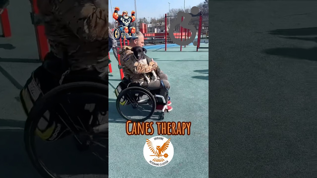 I love dogs 🐕🥰🐕 | 