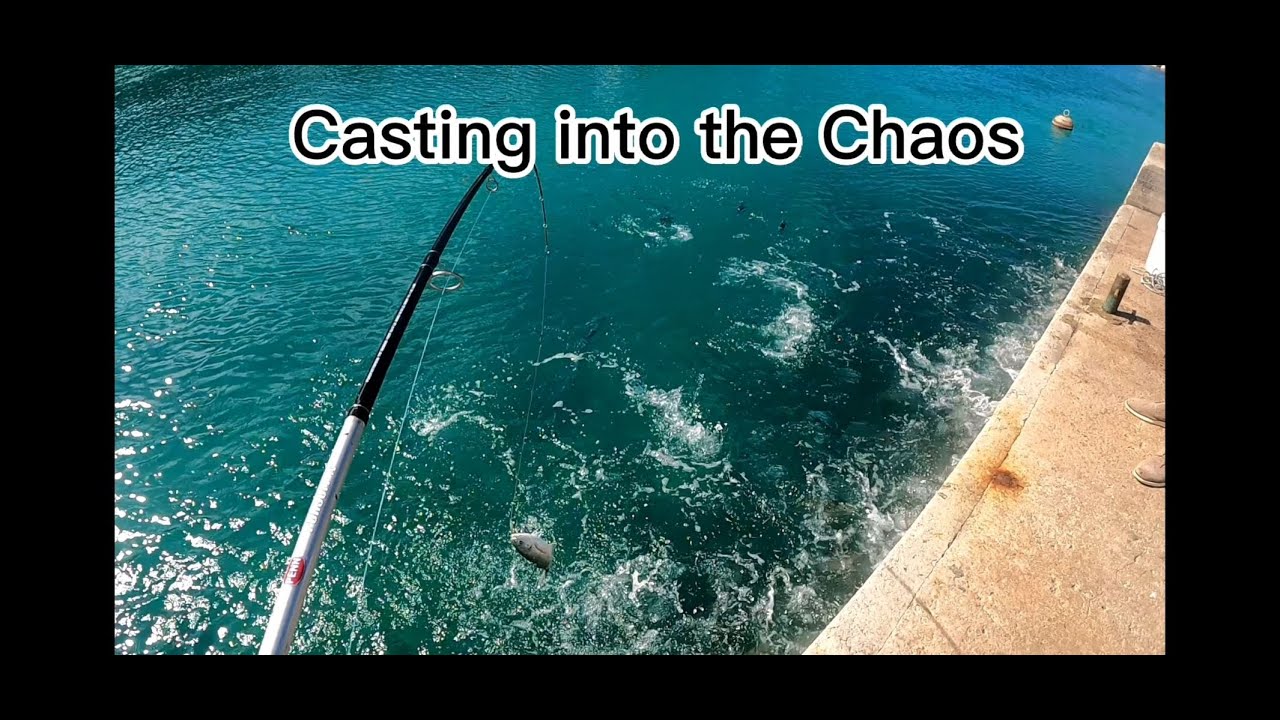 LURE FISHING BERMUDA when the fry's in bay, the jacks will play