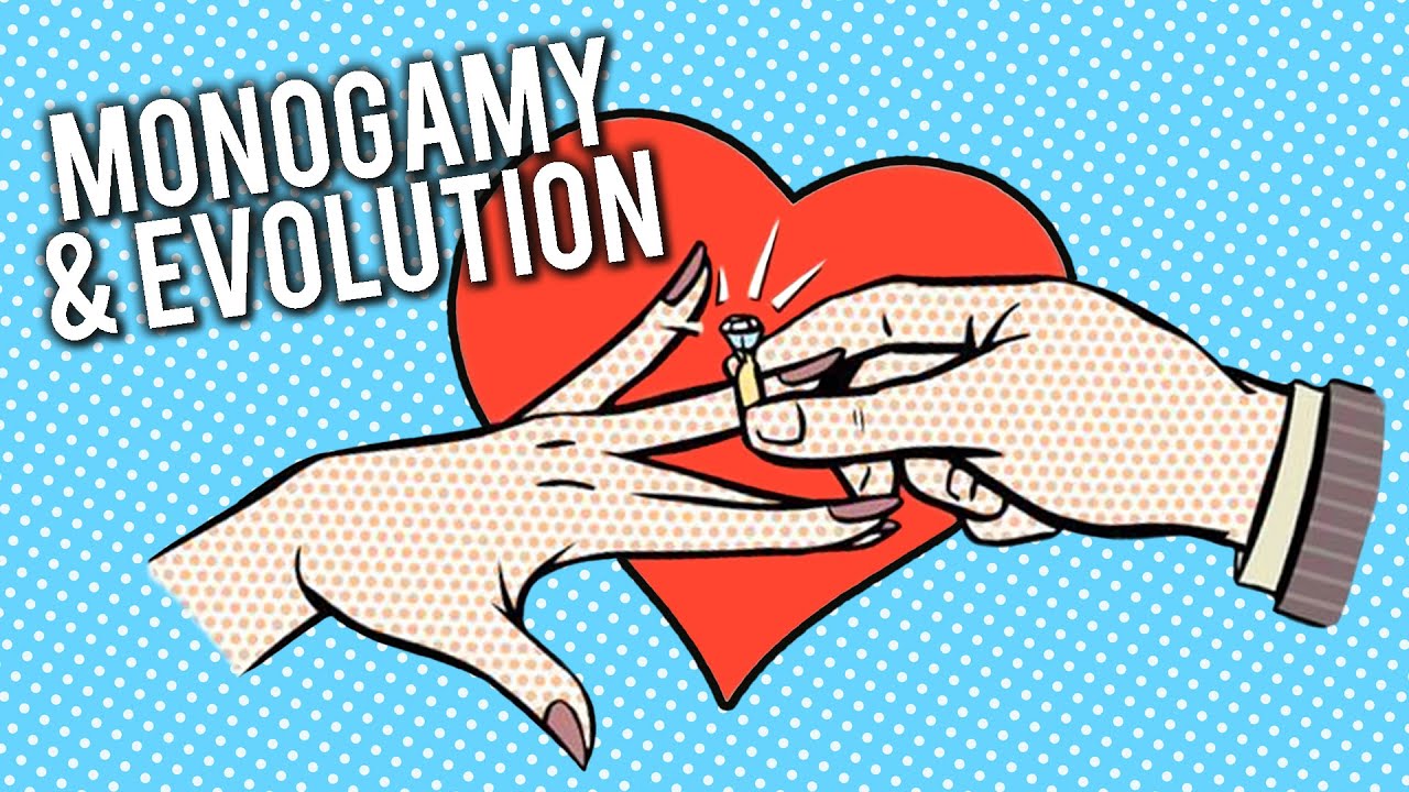 Are Humans Naturally Monogamous?