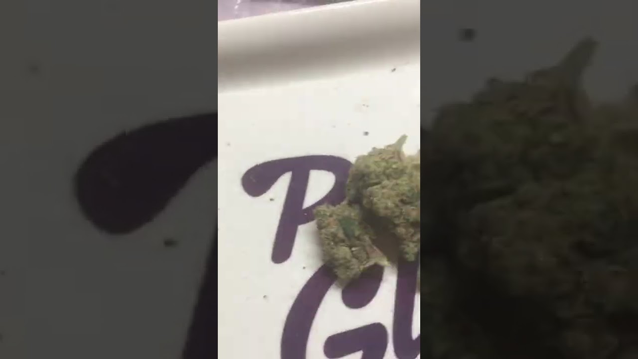 Teds buds