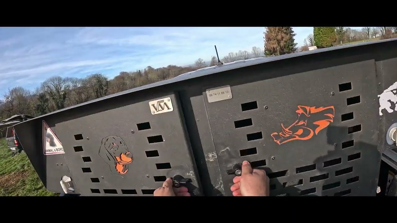 Chasse aux sangliers fourré de chez Bardèrent 03 février 24