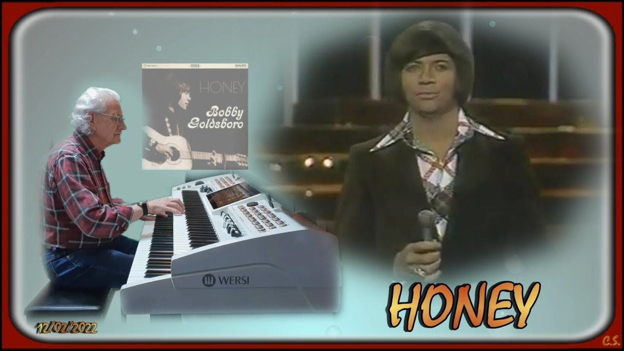 Honey Cover On Wersi OAX1 ♫