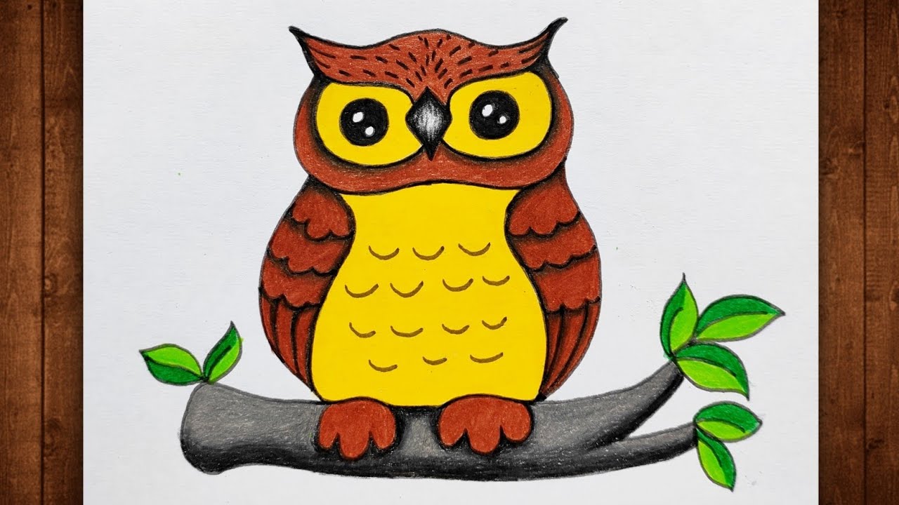 How To Draw an Owl / Owl Drawing / Owl Drawing Colour