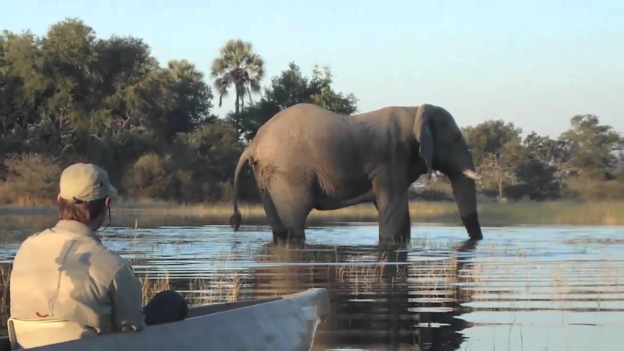 Alan McSmith : Learning From Wilderness