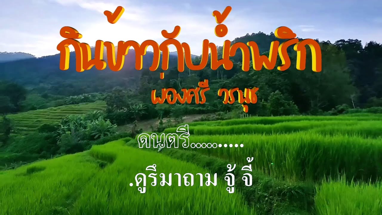 กินข้าวกับน้ำพริก ผ่องศรี วรนุช #karaoke #คาราโอเกะ