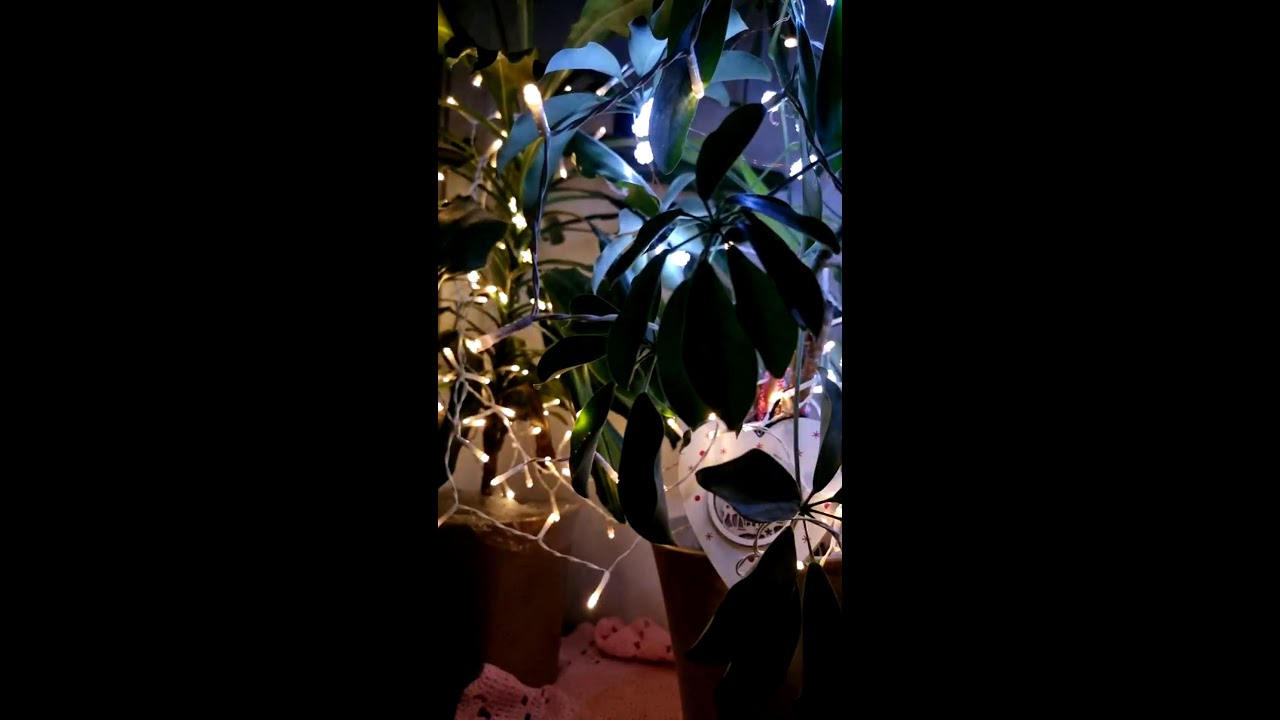 Silent Live Night . Good evening Germany and Worldn