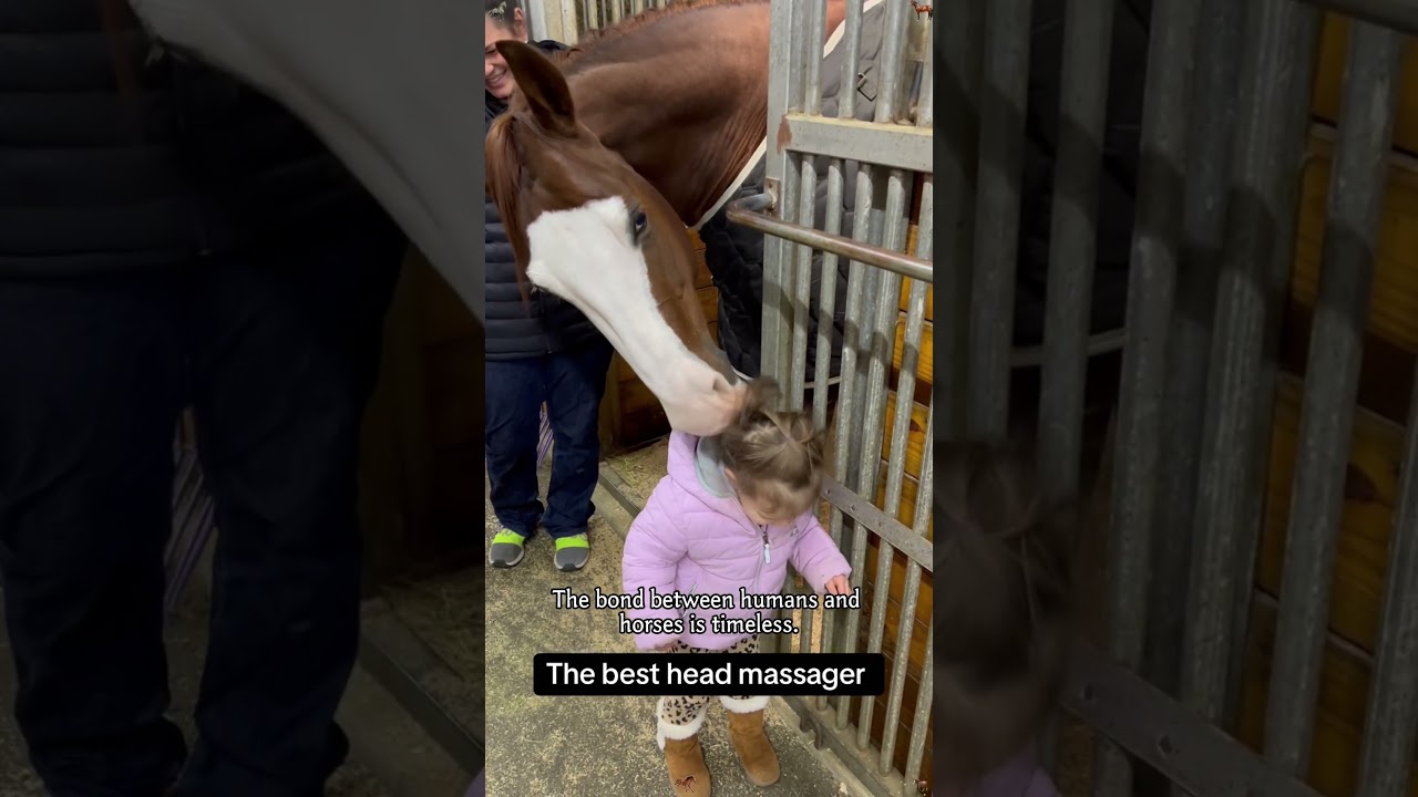 Some friendships don&rsquo;t need words 🐴#horse#horses#horsesoftiktok#horselovers#fyp#foryou#love