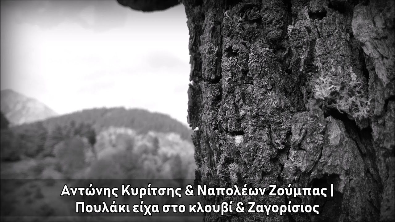 Α. Κυρίτσης & Ν. Ζούμπας | Πουλάκι είχα στο κλουβί & Ζαγορίσιος