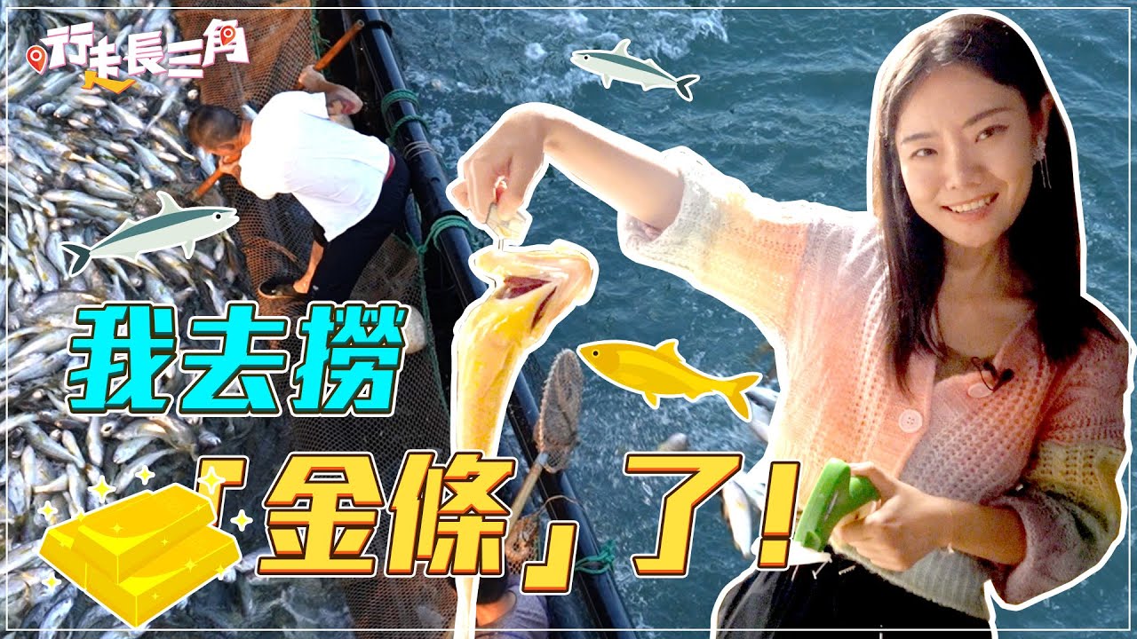 趁著黑夜撈金條！每年六千噸的“東海黃金”居然會叫？｜Fishing large yellow croaker｜行走台州｜行走長三角