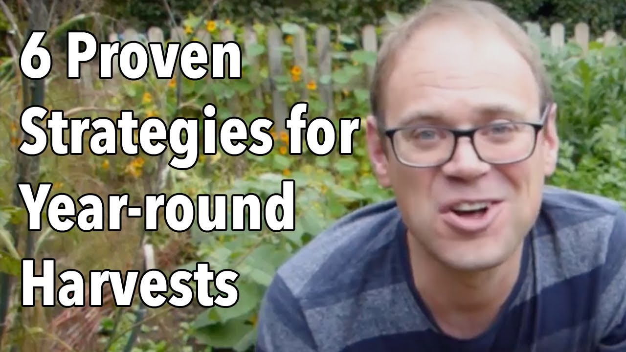 6 Proven Strategies for Year-round Harvests