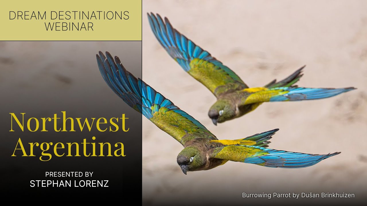 Northwest Argentina with Stephan Lorenz