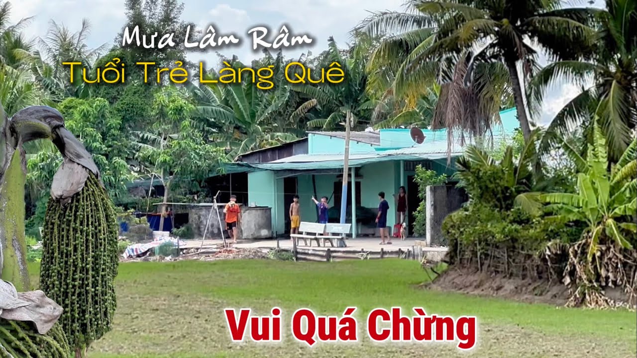 Đường Quê Trời Mưa Lâm Râm  | Cảnh Buồn Man Mác Vùng Quê Bình Yên.