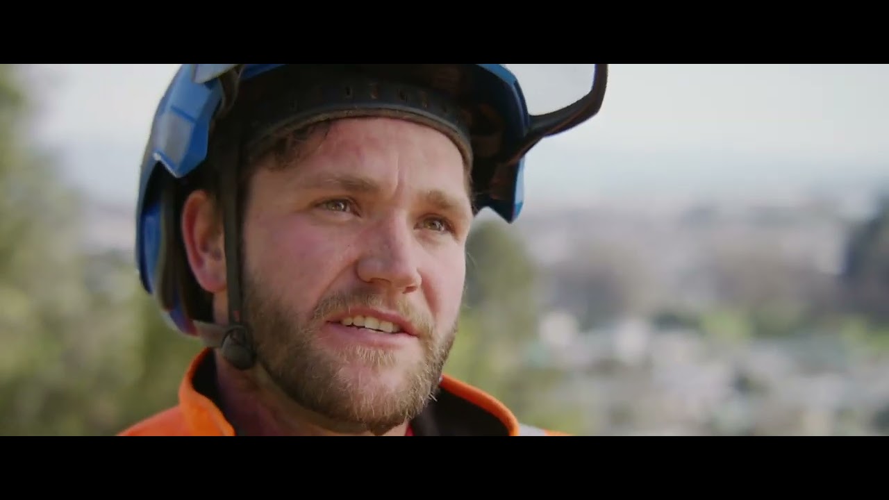 Treetech Nelson Emergency Work