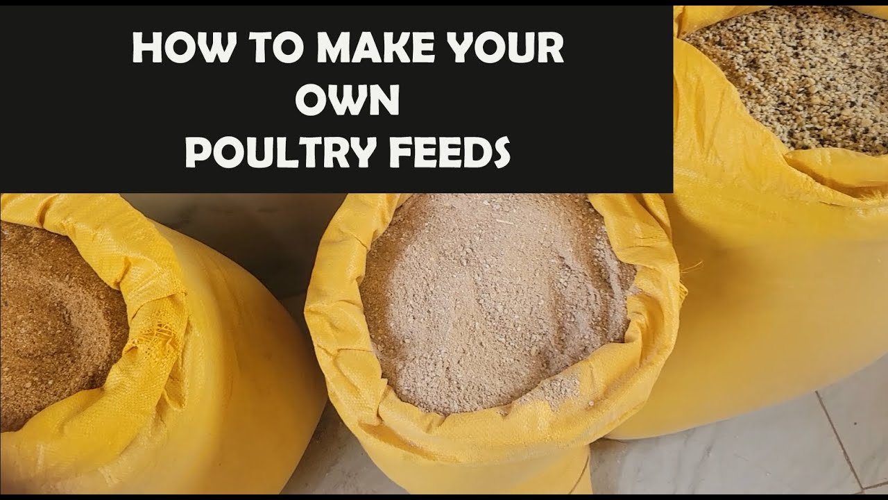 Poultry Feed Formulation  How to Make your Own Poultry Feed